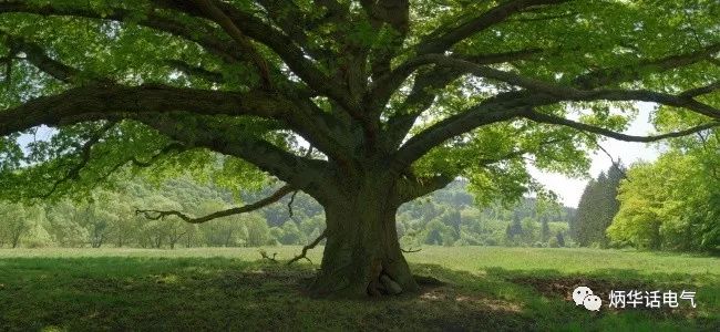 風(fēng)雨天注意三個(gè)“遠(yuǎn)離”保安全！_4